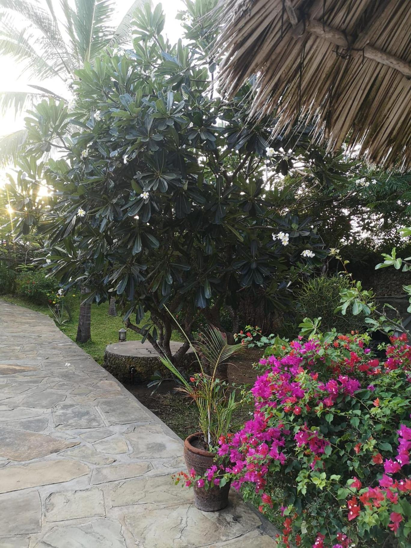 Fulvia House Vila Melinde Exterior foto